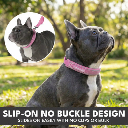 Martingale Collar and Multipurpose Leash Set - Pink