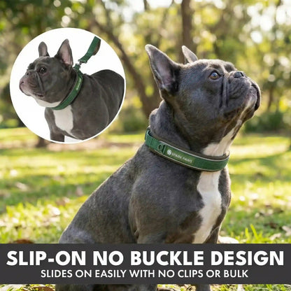 Martingale Collar and Multipurpose Leash Sets