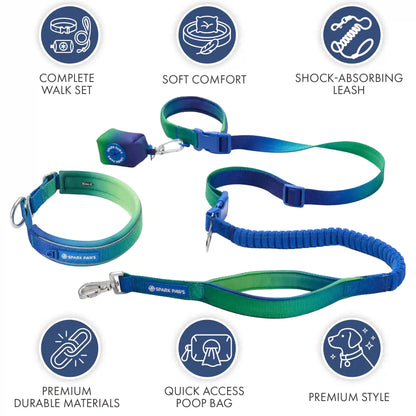 Martingale Collar and Multipurpose Leash Set - Lime Wave