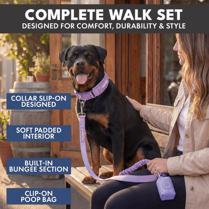 Martingale Collar and Multipurpose Leash Set - Lilac