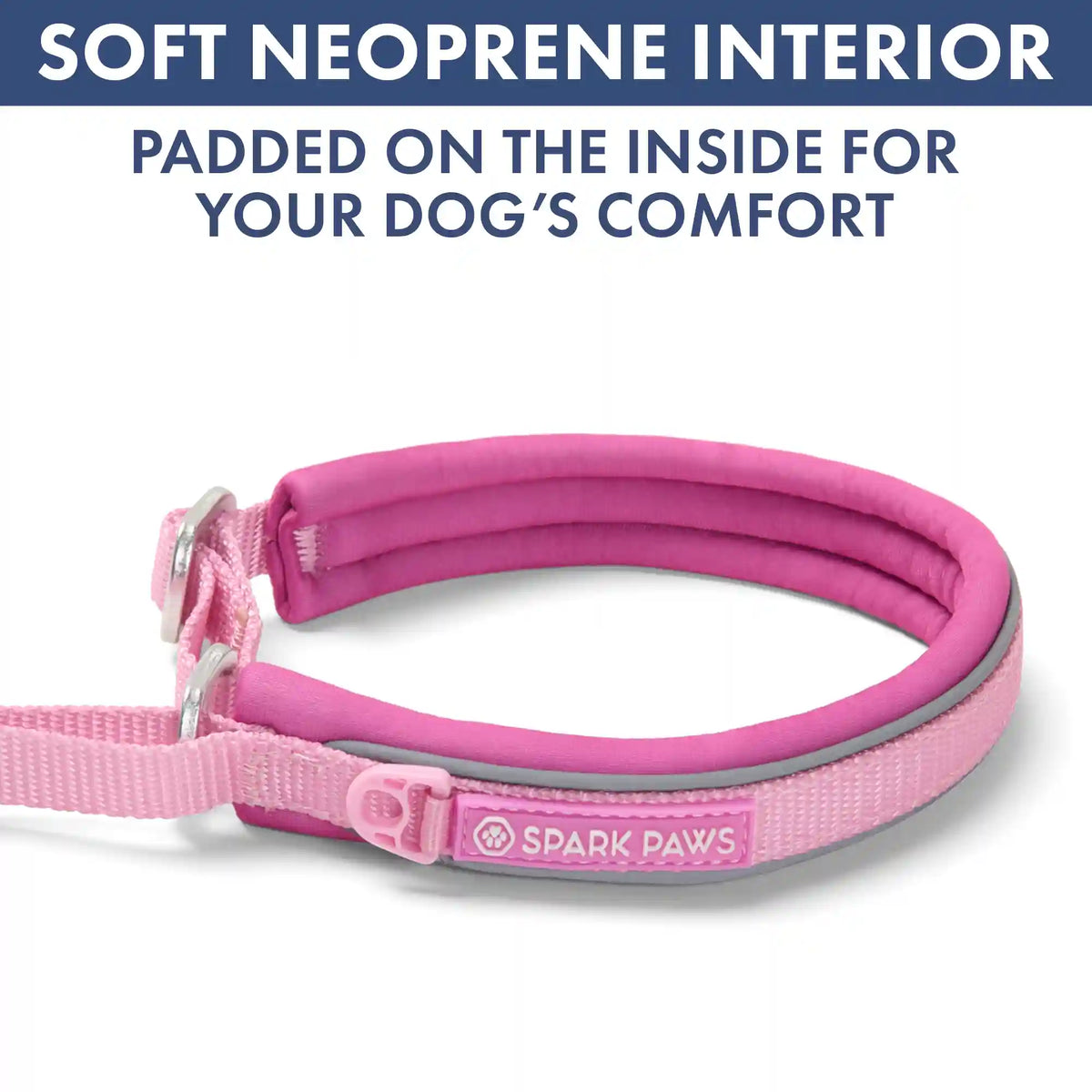 Martingale Collar and Multipurpose Leash Set - Pink