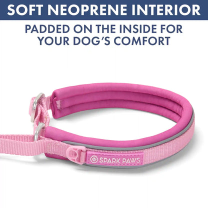Martingale Collar and Multipurpose Leash Set - Pink
