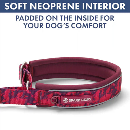 Martingale Collar and Multipurpose Leash Set - Fuchsia Camo