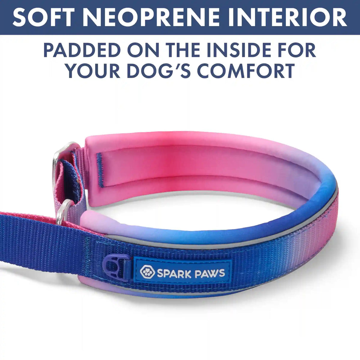 Martingale Collar and Multipurpose Leash Set - Snow Cone