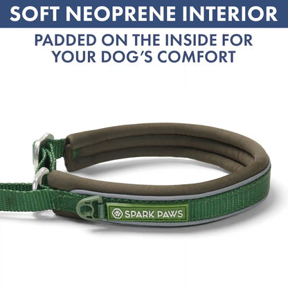 Martingale Collar and Multipurpose Leash Set - Army Green