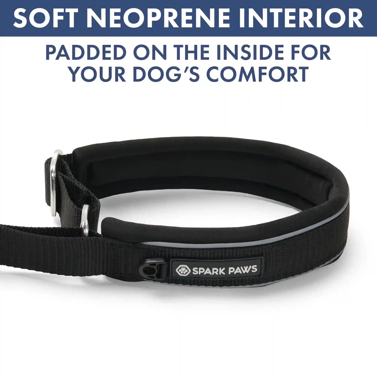 Martingale Collar and Multipurpose Leash Set - Black