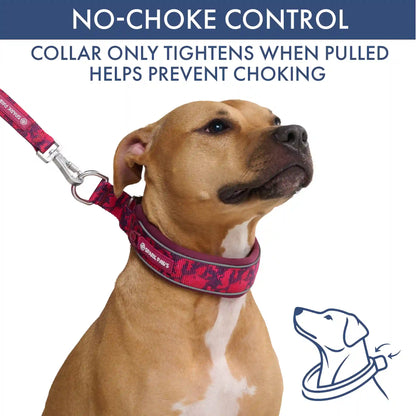 Martingale Collar and Multipurpose Leash Set - Fuchsia Camo
