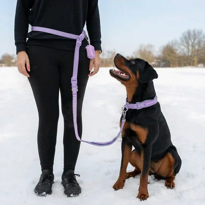 Martingale Collar and Multipurpose Leash Set - Lilac