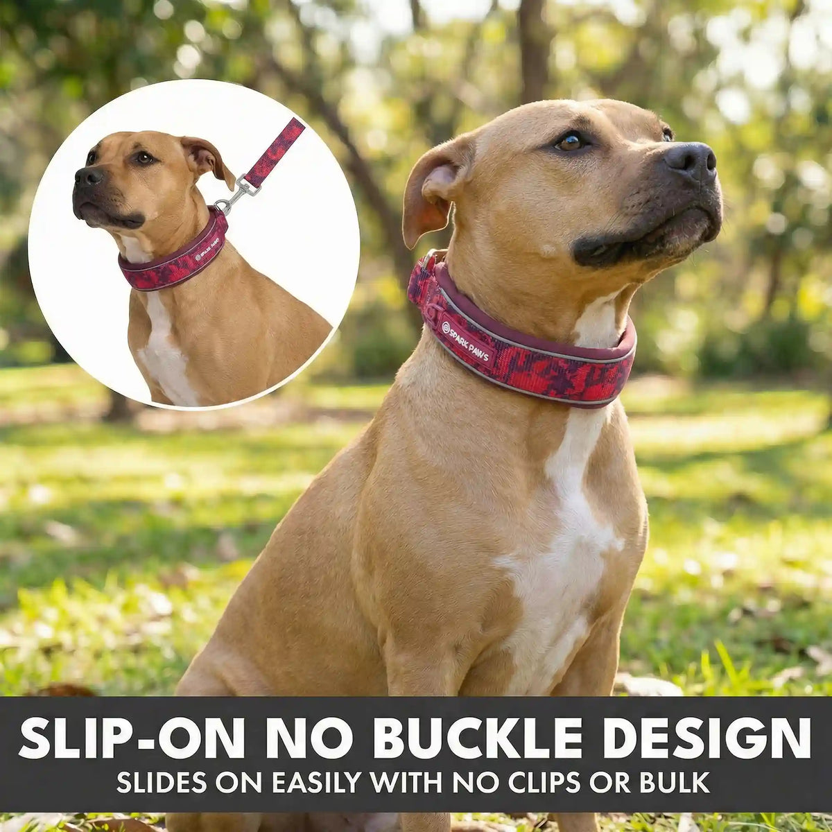 Martingale Collar Set - Fuchsia Camo