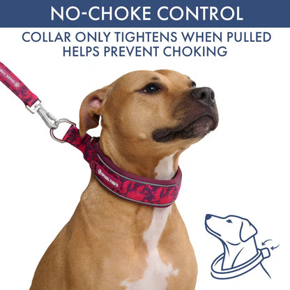 Martingale Collar Set - Fuchsia Camo