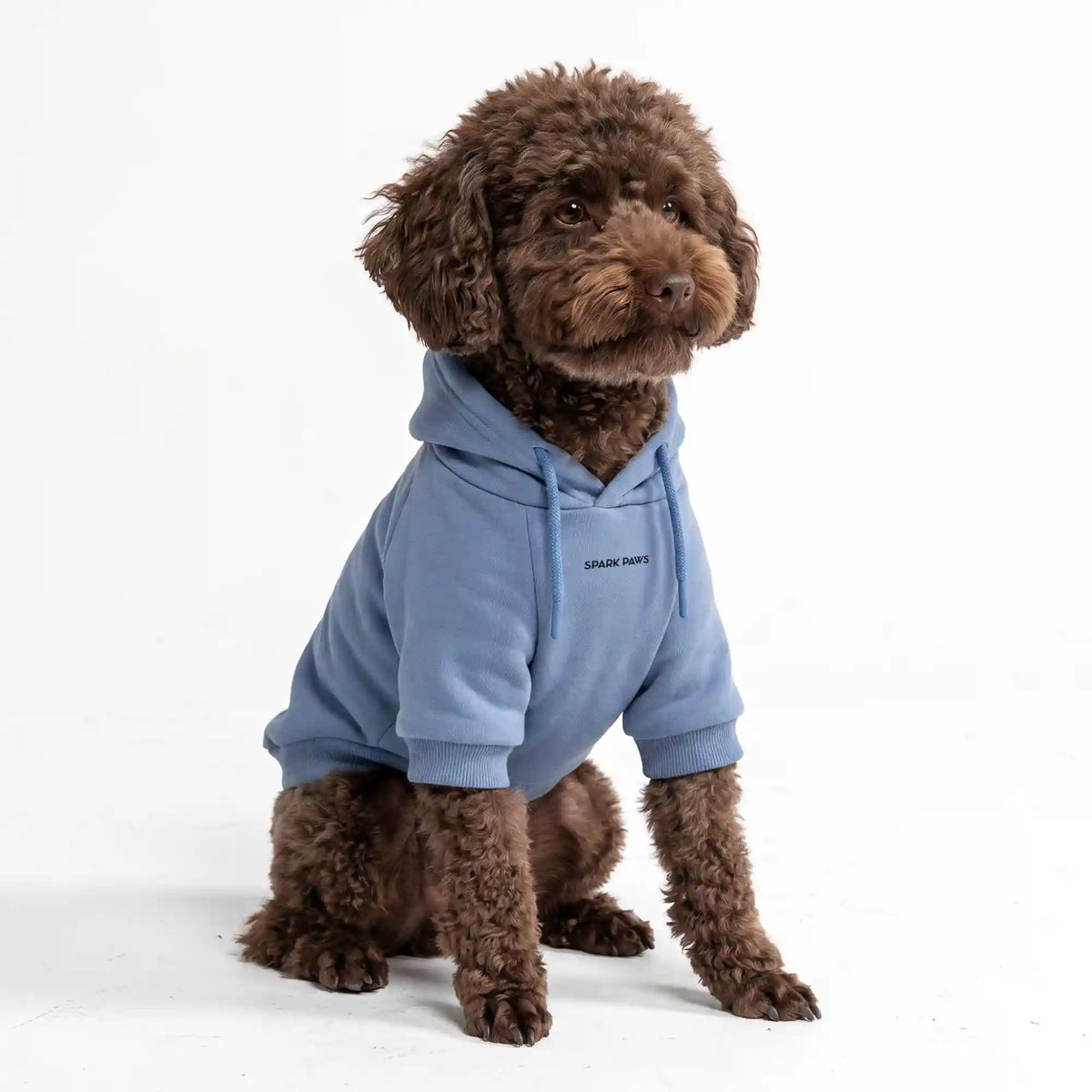Essential Dog Hoodie - Slate Blue