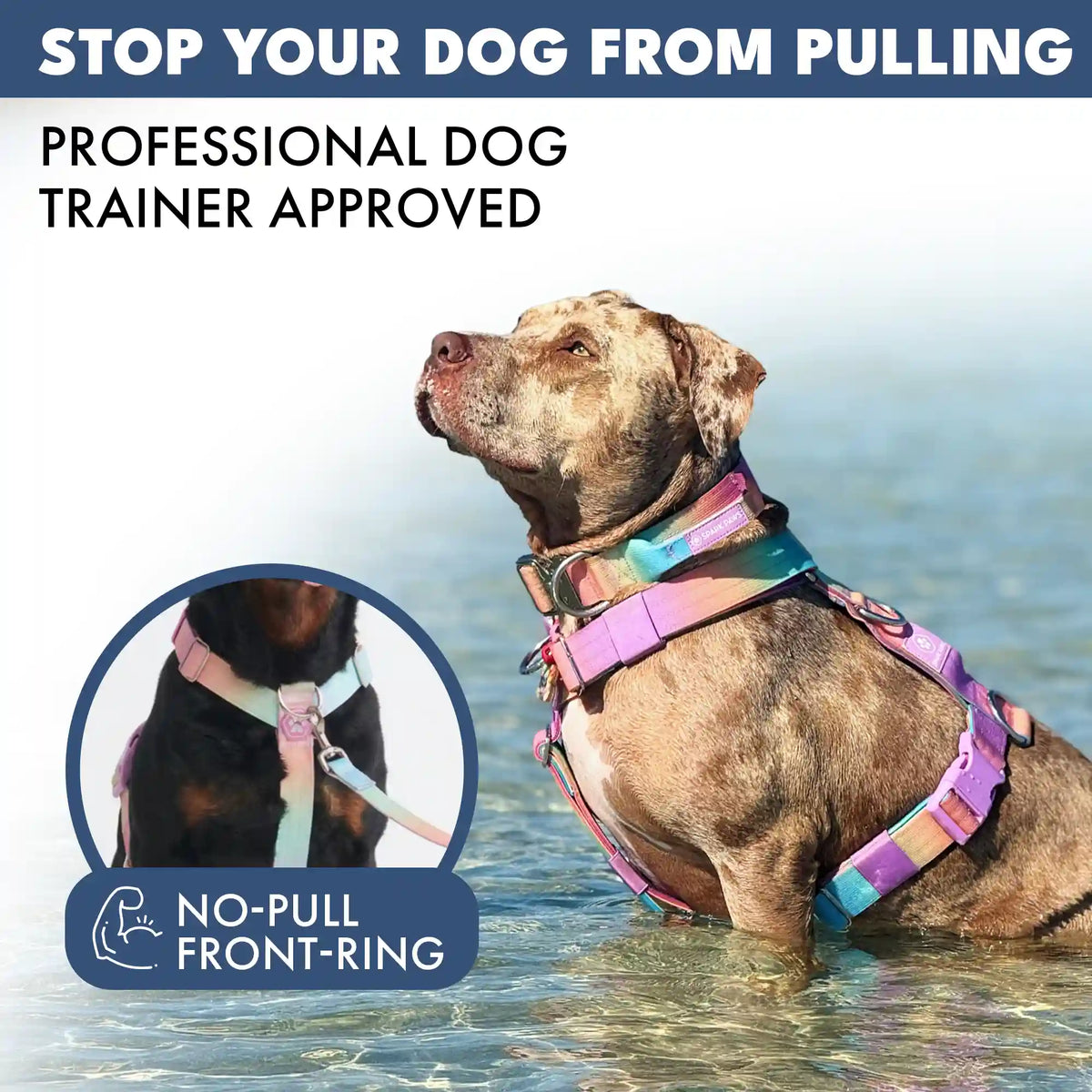 Comfort Control No-Pull Dog Harnesses