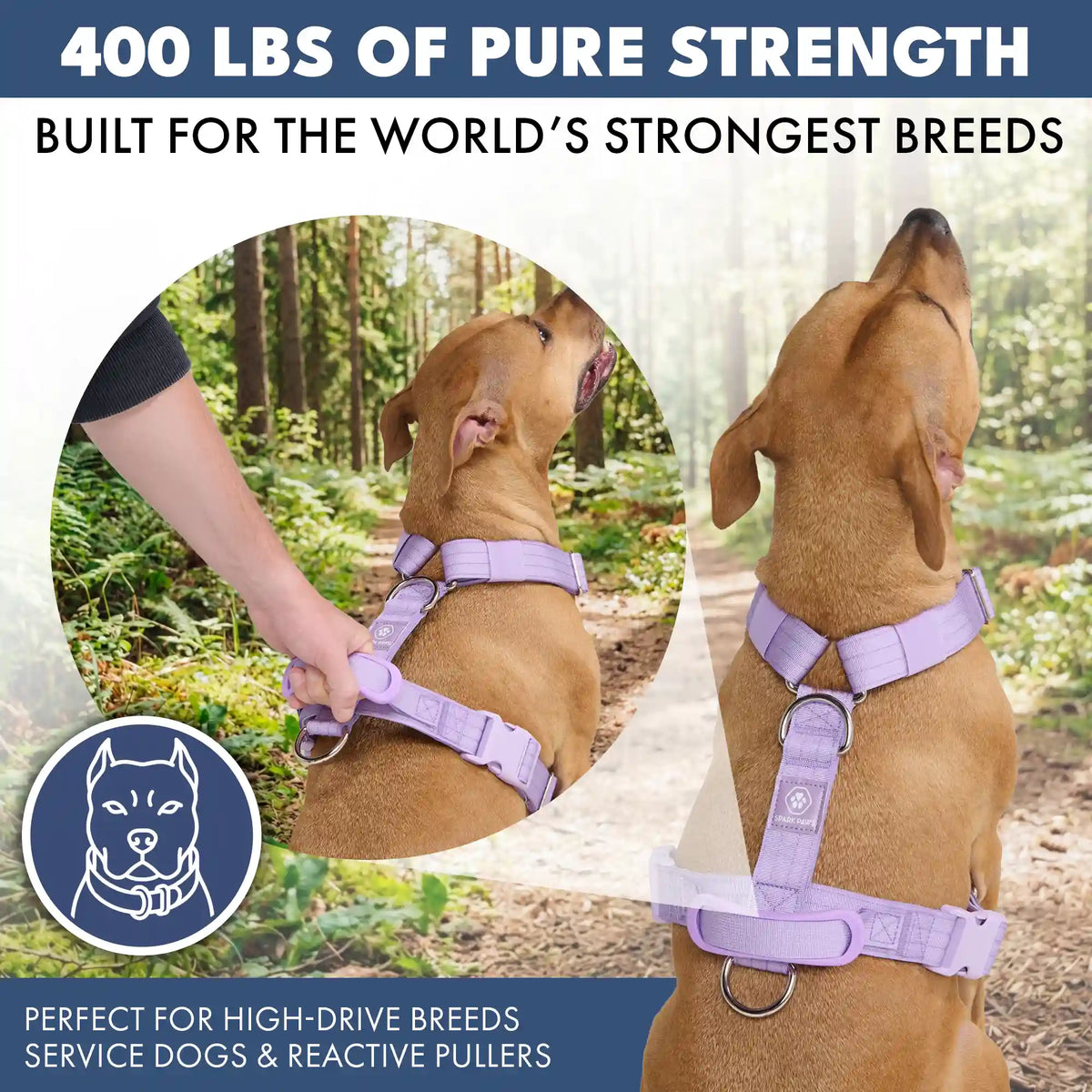 Comfort Control™ No-Pull Dog Harness - Lilac