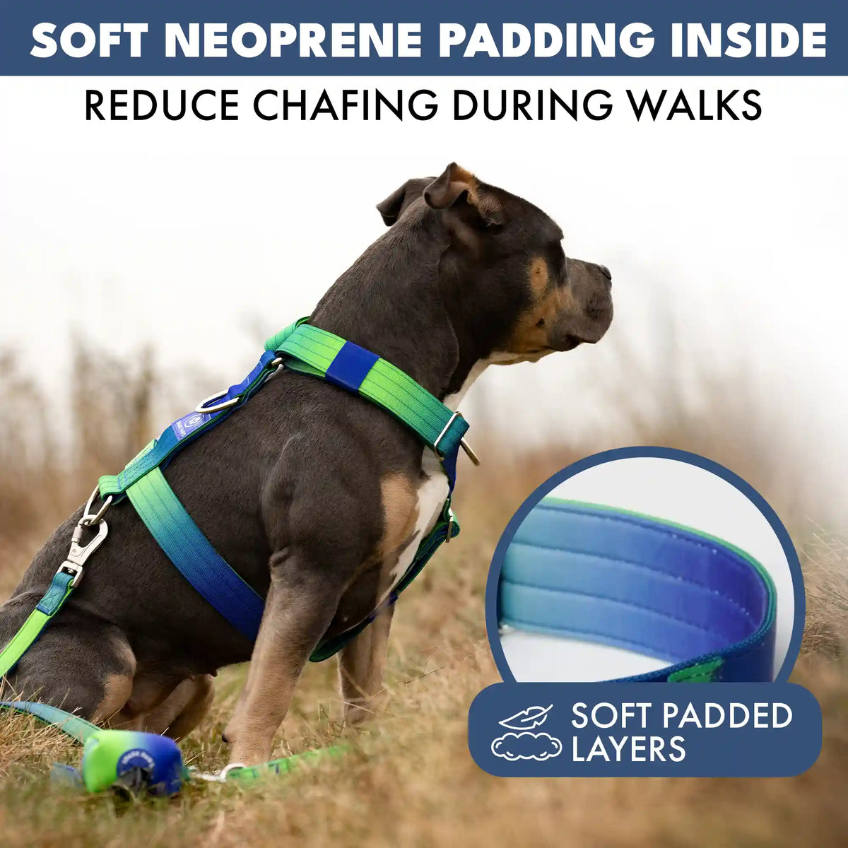 Comfort Control No-Pull Dog Harness - Lime Wave