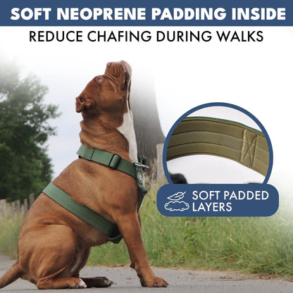 Comfort Control No-Pull Dog Harness - Green