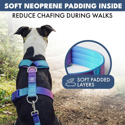 Comfort Control No-Pull Dog Harnesses