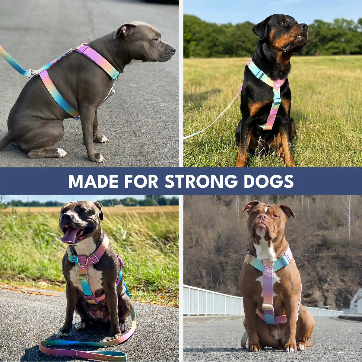 Comfort Control No-Pull Harness Sets