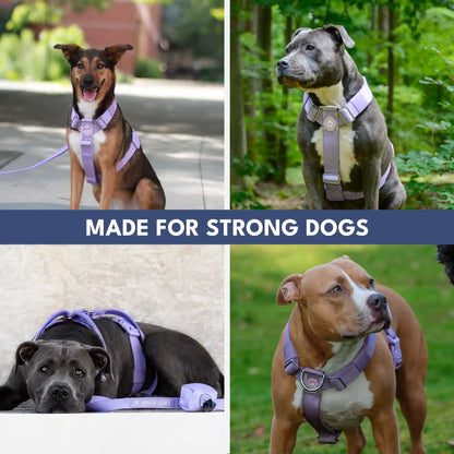 Comfort Control No-Pull Dog Harnesses