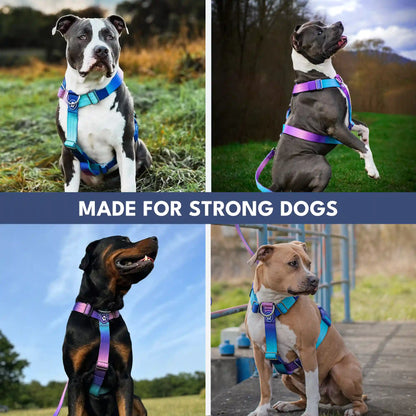 Comfort Control No-Pull Dog Harnesses