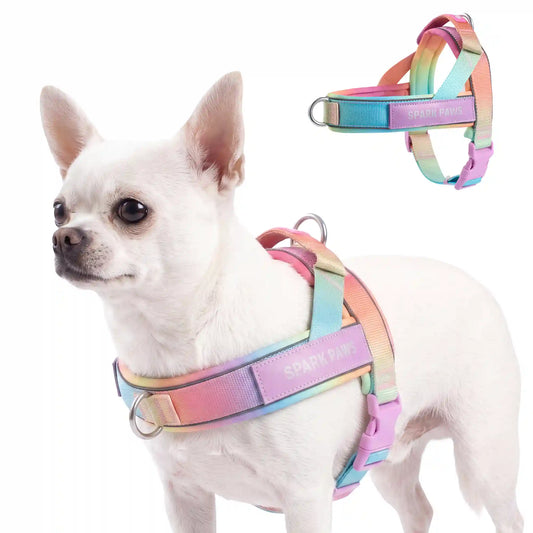 Grab & Go Harness - Pastel Icing