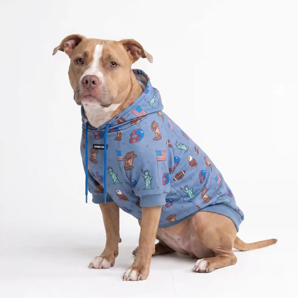 Around the World Dog Hoodies