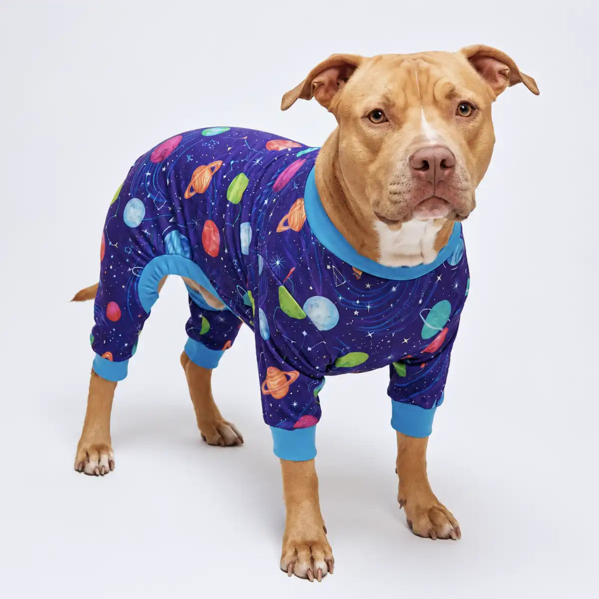 Dog Pajama - Planets