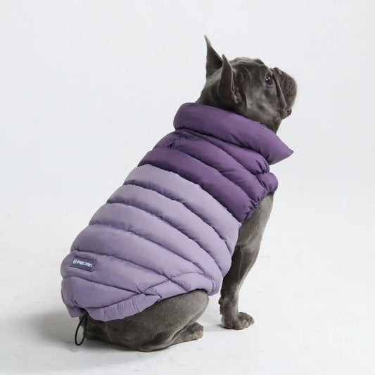 PuffShield Winter Jacket -  Purple