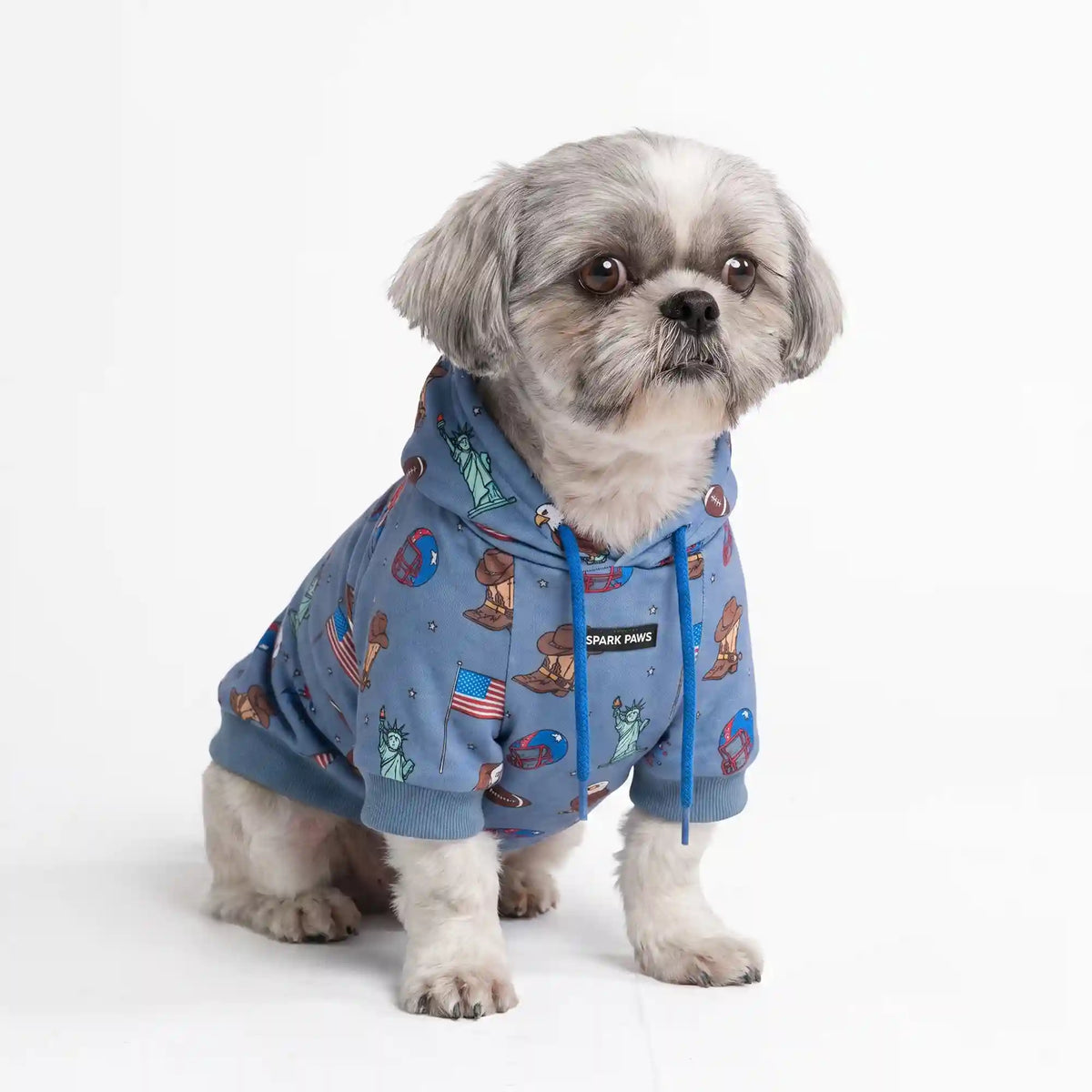 Around the World Dog Hoodies