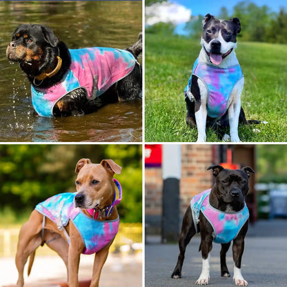 Dog Cooling Vest - Snow Cone