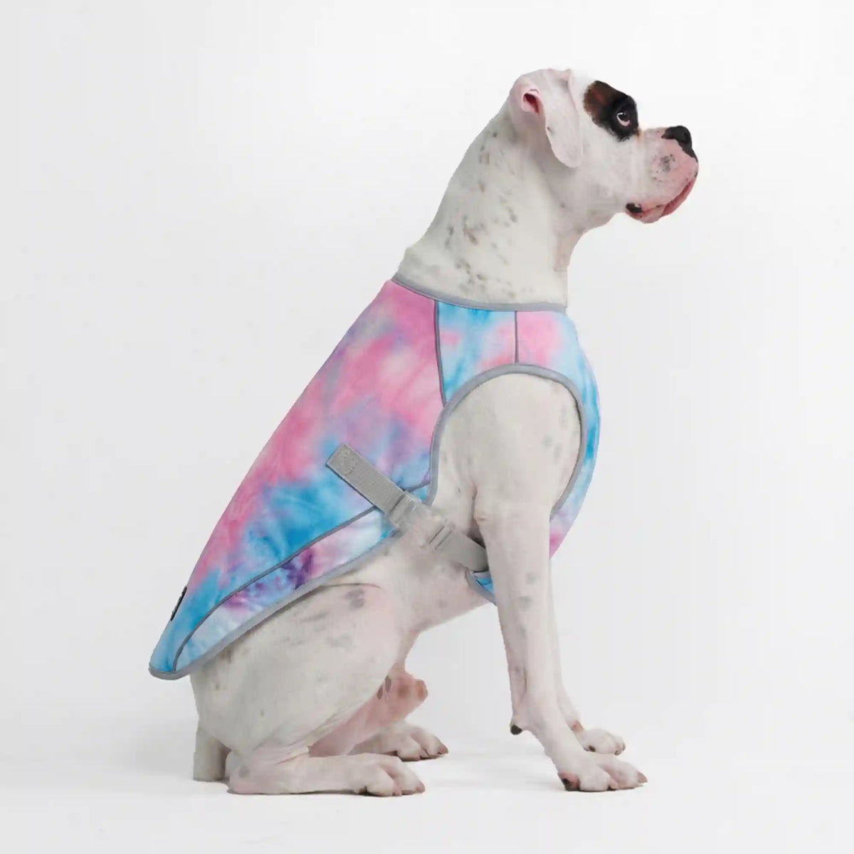 Dog Cooling Vest - Snow Cone