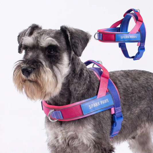 Grab & Go Harness - Snow Cone