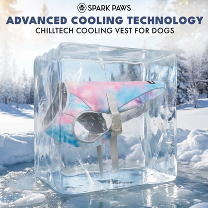 Dog Cooling Vest (2-pack) - Snow Cone & Tropical Storm