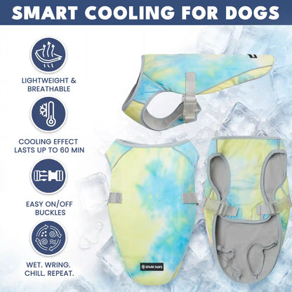 Dog Cooling Vest (2-pack) - Snow Cone & Tropical Storm