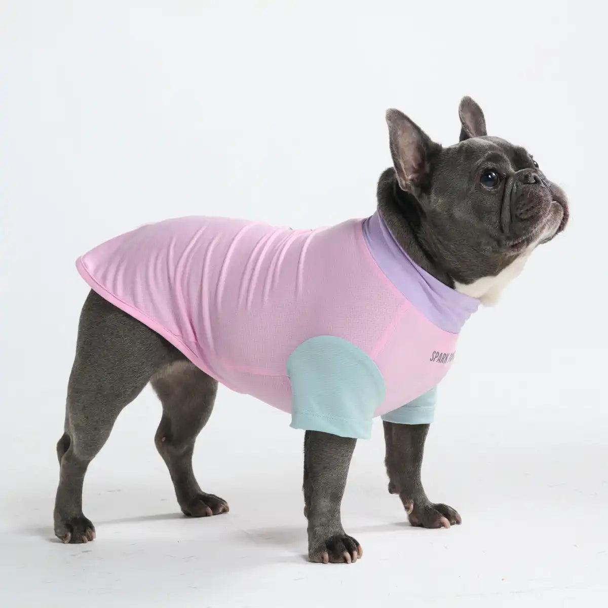 Sunblock Dog T-Shirt - Gelato