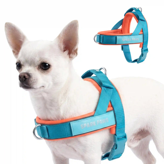 Grab & Go Harness - Teal & Apricot