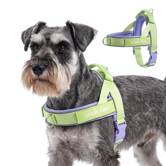 Grab & Go Harness - Violet Lime