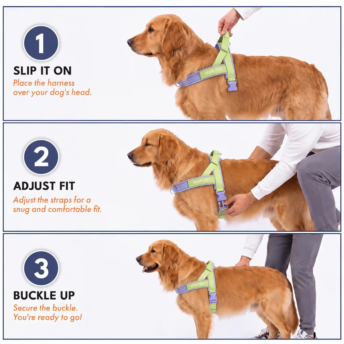 Grab & Go Harness - Violet Lime