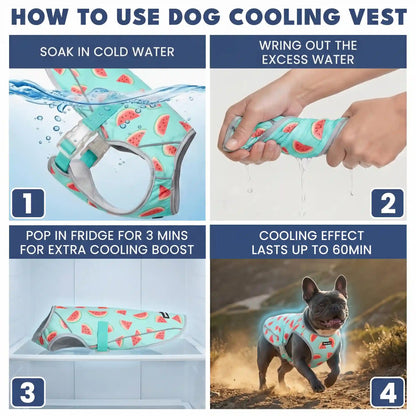 Dog Cooling Vest - Watermelon
