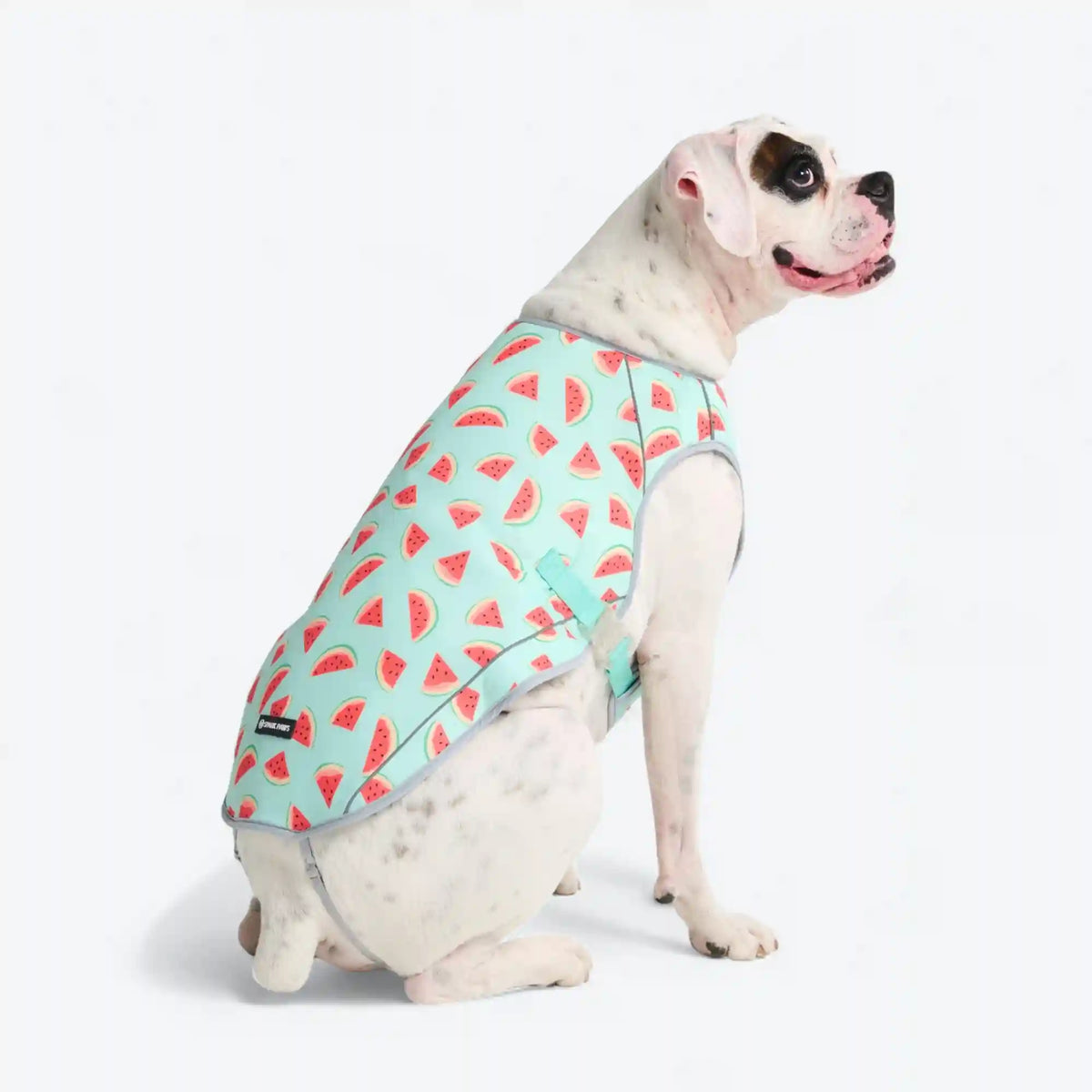 Dog Cooling Vest - Watermelon