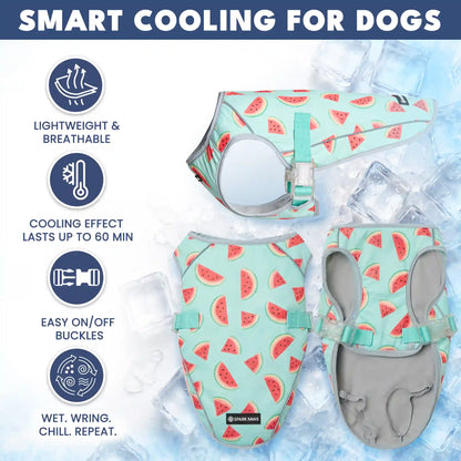 Dog Cooling Vest - Watermelon