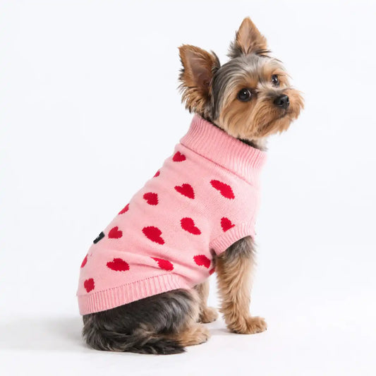 Hearts Knit Dog Sweater
