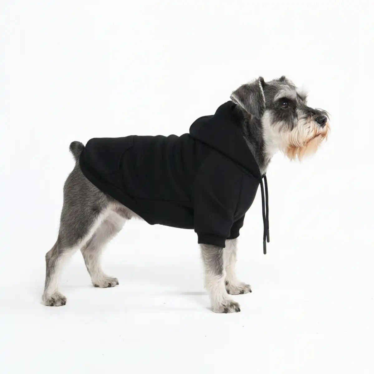 Essential Dog Hoodie - Black