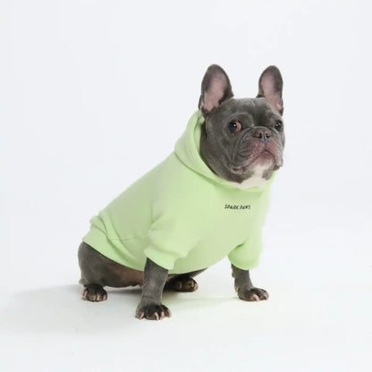 Essential Dog Hoodie - Honey Dew