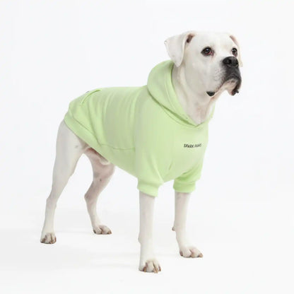 Essential Dog Hoodie - Honey Dew