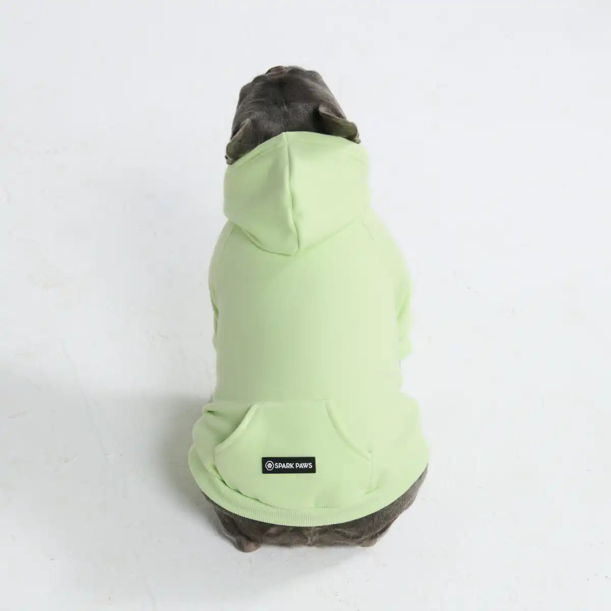 Essential Dog Hoodie - Honey Dew