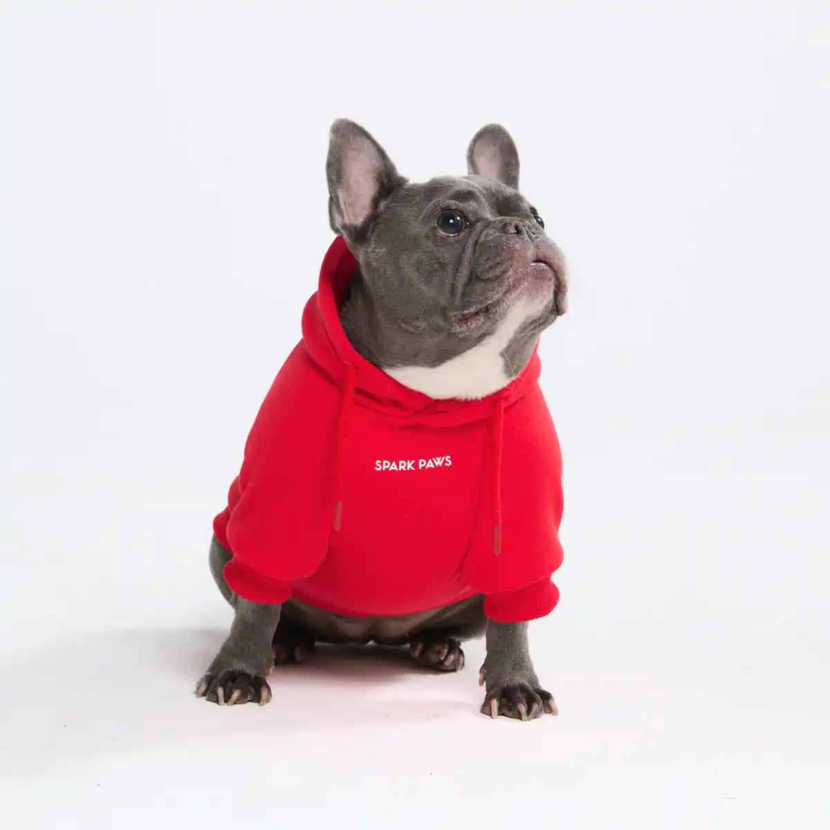 Essential Dog Hoodie - Crimson Red