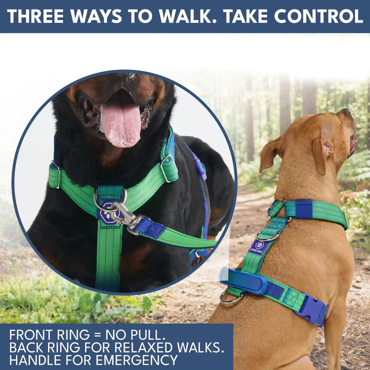 Comfort Control No-Pull Dog Harness and Multipurpose Leash Set - Lime Wave