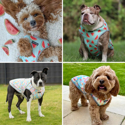Dog Cooling Vest (2-pack) - Popsicles & Watermelon